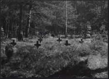 Niesulkow bei Strykau