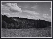 Modrzew b. Litzmannstadt