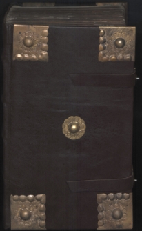 Postilla das ist Auszlegung der Episteln und Euangelien : fragmenty