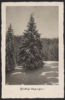 Glückliche Weihnachten ! [D. i.]