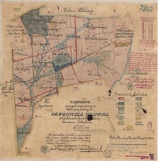 Pierworys szczegółowego pomiaru dóbr prywatnych Jagodnica Złotna w Guberni Piotrkowskiej Powiecie Łódzkim położonych