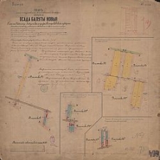 Plan' zemel' postupivšil' v' sobstviennost' krest'ân' seleniâ Osada Bałuty Novyâ Gminy Radogoš' Lodzinskago u''zda Pietrokovskoj gubernii