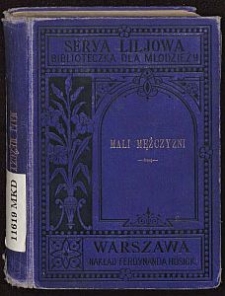 Mali mężczyzni : powieść