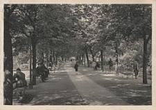 Litzmannstadt, Heinrichsbusch