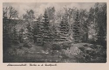Litzmannstadt, Partie a. d. Quellpark