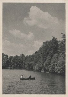 Litzmannstadt, Orchideen-Park