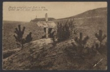 Mogiły poległych pod Łodzią 1914 = Gräber der um Lodz Gefallen 1914