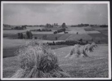 Bei Litzmannstadt : Garbenfeld