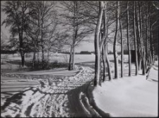 Bei Tuschin : Winterlandschaft