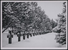 Auf den Gräberberg bei Lodz