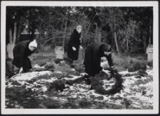 Gräberberg : beim Schmücken d. Gräber