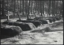 Heldengräber in Pabianice