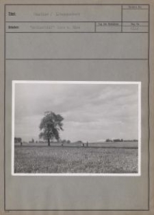 Henrikow / Litzmannstadt