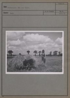 Hochweiler : bei der Ernte