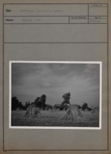 Hochweiler : Erntefeld u. Gehöft