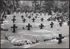 Kriegerfriedhof im Walde bei Zgierz