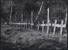 Kriegerfriedhof im Wiontschiner Wald