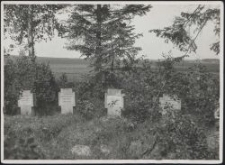 Kriegerfriedhof in Boginia bei Lodz