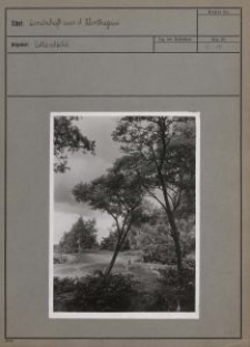 Landschaft aus d. Warthegau