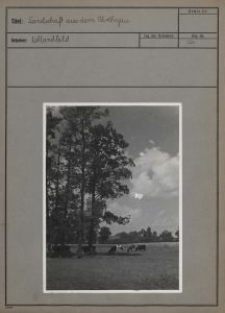 Landschaft aus dem Warthegau