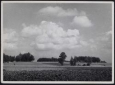 Landschaft bei Hochweiler (Markówka)