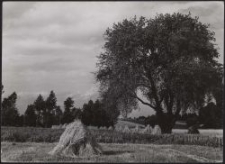 Landschaft bei Litzmannstadt