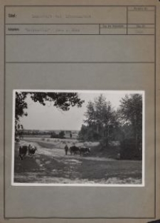 Landschaft bei Litzmannstadt