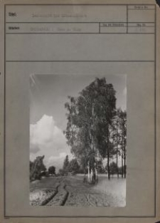 Landschaft bei Litzmannstadt