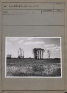 Landschaft bei Litzmannstadt