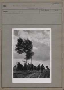 Landschaft bei Litzmannstadt : "Heimkehr vom Felde"