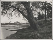 Litzmannstadt : Teich b. d. Scheiblerwerken