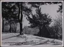 Piaskowa Góra : Winterlandschaft