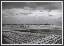 [Fotografia pól i łąk okolic Łodzi]