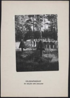 Soldatenfriedhof Witkowice = Heldenfriedhof im Walde von Galkow