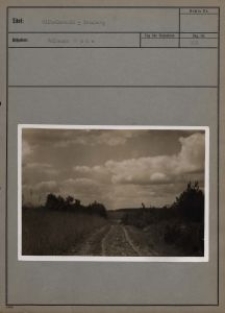 Wilhelmswald - Grünberg